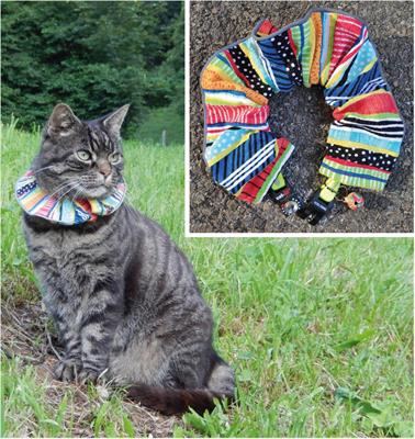 Colorful Collar-Covers and Bells Reduce Wildlife Predation by Domestic Cats in a Continental European Setting